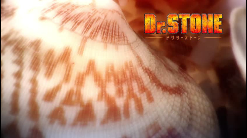 Episódio 7