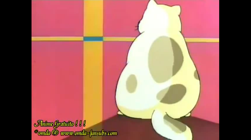 Episódio 27