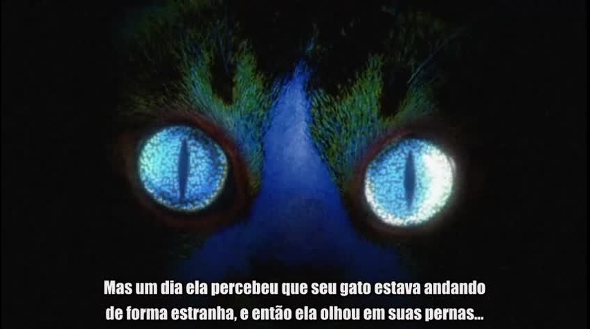 Episódio 5