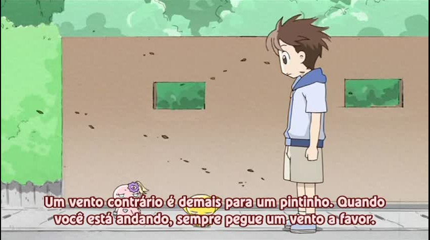 Episódio 22