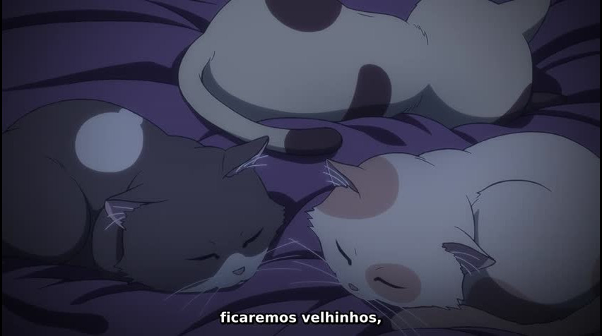 Episódio 10