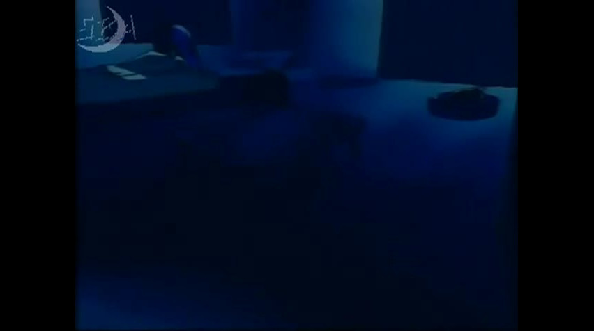 Episódio 15