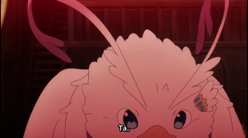 Episódio 11