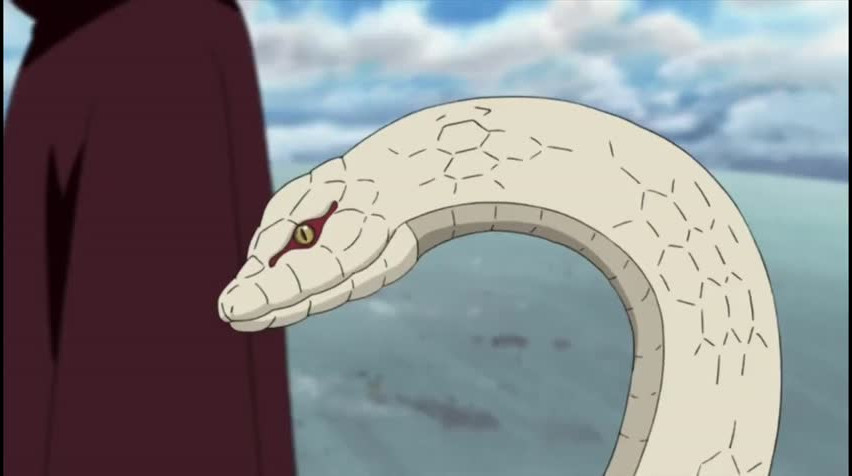 Episódio 255