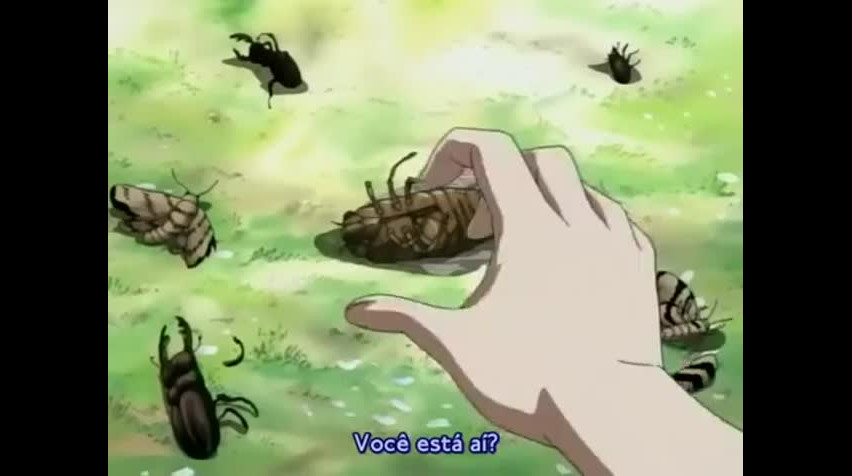 Episódio 21
