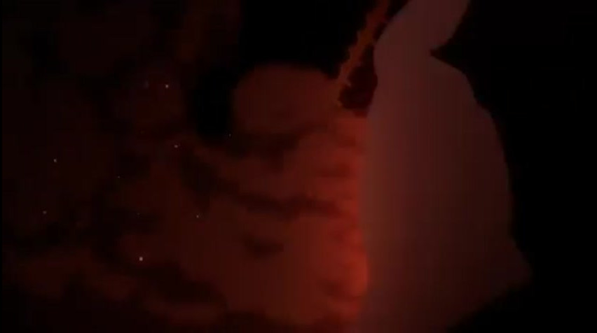 Episódio 231