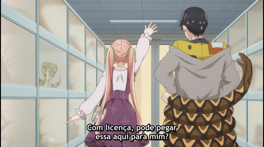 Episódio 12