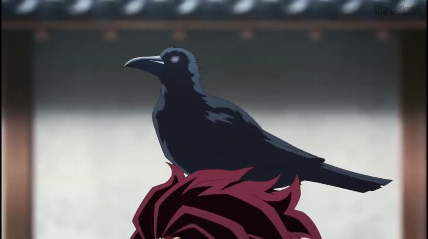 Episódio 5