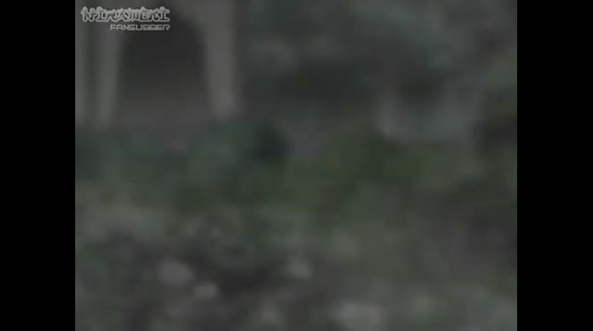 Episódio 10