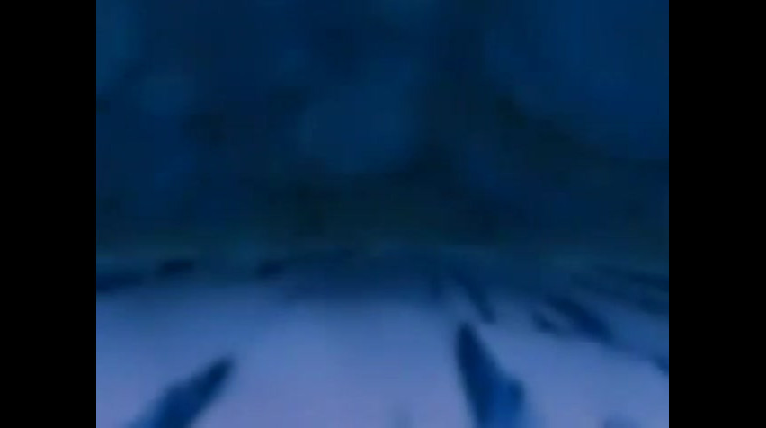 Episódio 6