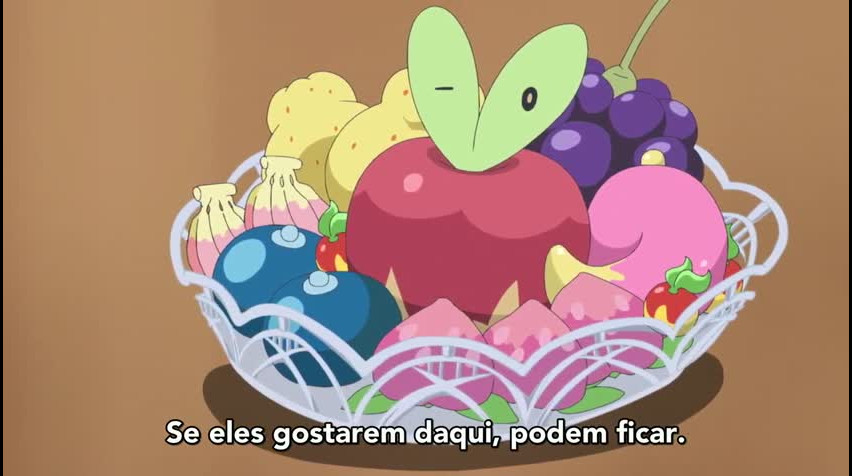 Episódio 24