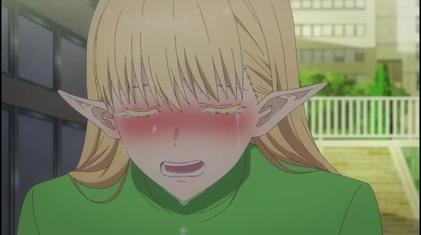 Episódio 11