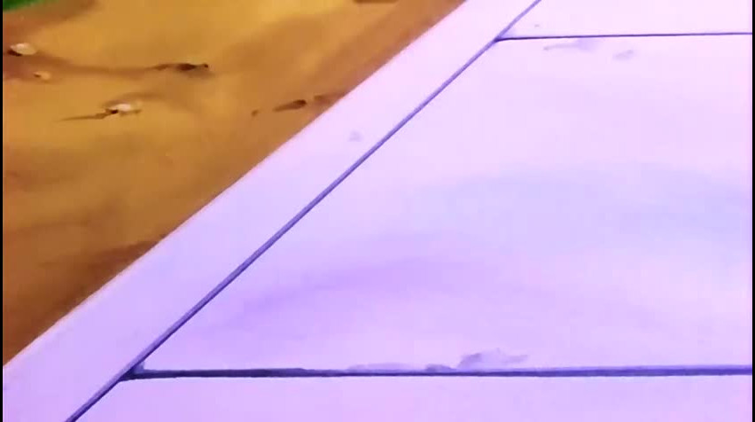 Episódio 177