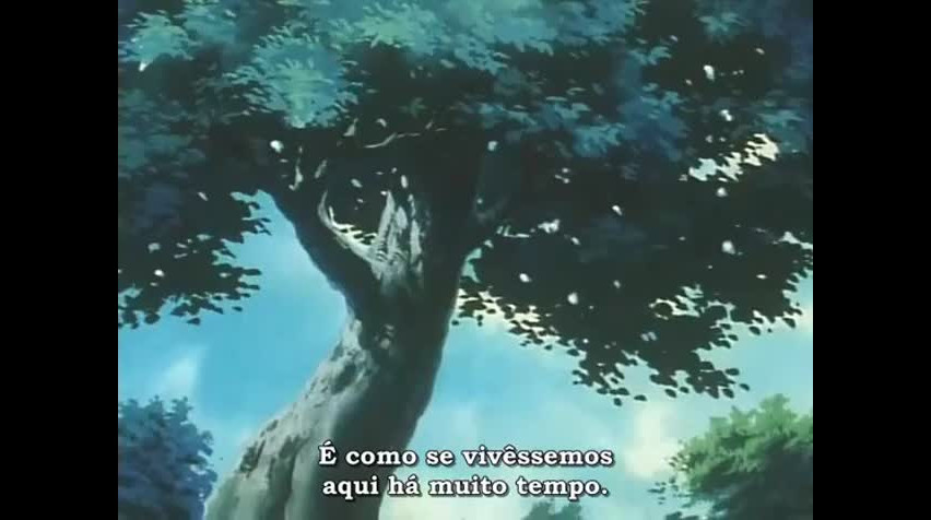 Episódio 13