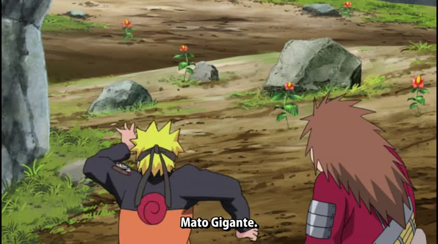 Episódio 224