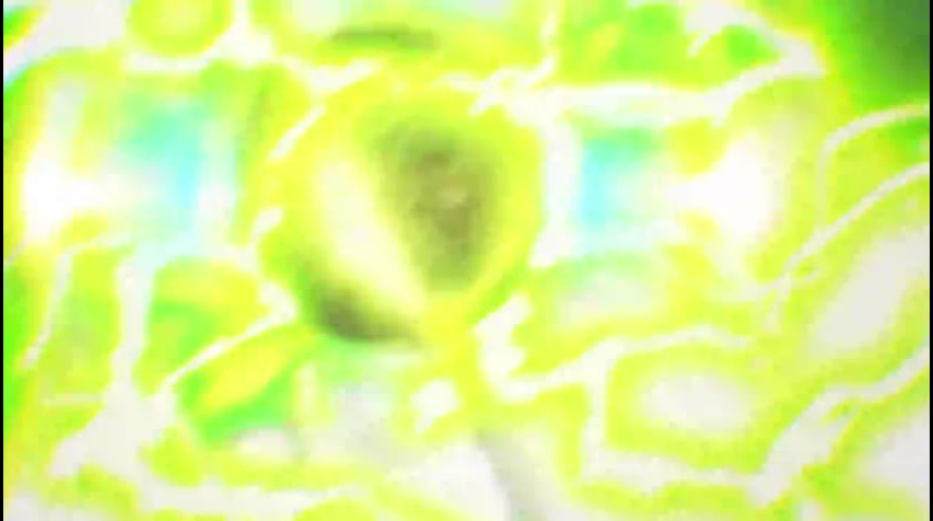 Episódio 10