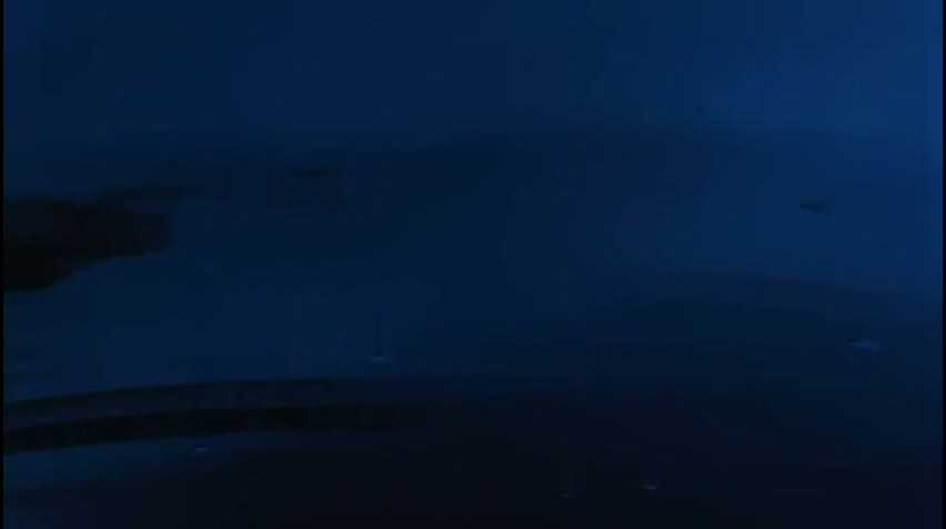 Episódio 209